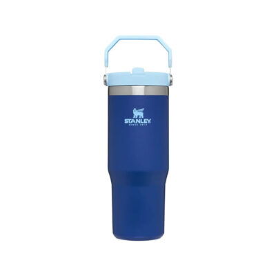 BOTELLA STANLEY FLIP STRAW TUMBLER 887ML LAPIS